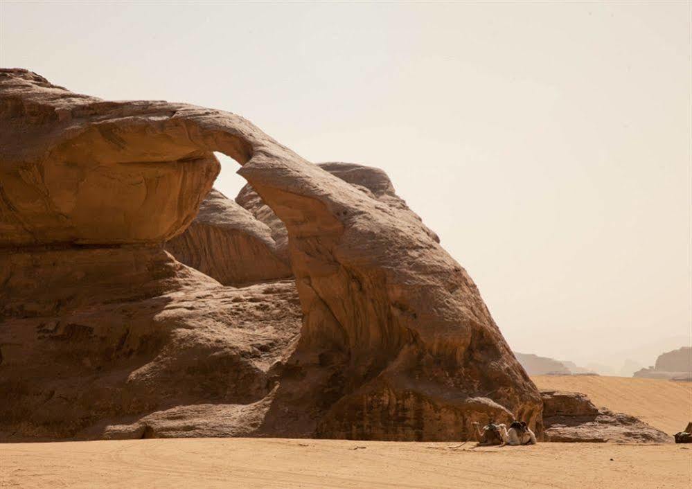 Wadi Rum Caravan Camp エクステリア 写真